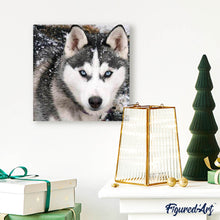 Charger l'image dans la galerie, Broderie Diamant | Broderie Diamant - Loup de Face | animaux Broderie Animaux lapins loups | FiguredArt