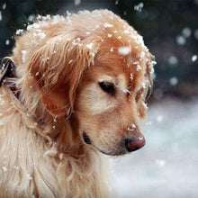 Charger l'image dans la galerie, Broderie Diamant | Broderie Diamant - Chien sous la Neige | animaux Broderie Animaux chiens hiver | FiguredArt