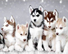 Charger l'image dans la galerie, Broderie Diamant | Broderie Diamant - Petit Loup | animaux Broderie Animaux lapins loups | FiguredArt
