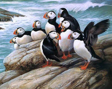 Charger l'image dans la galerie, Broderie Diamant | Broderie Diamant - Oiseaux en bord de Mer | animaux Broderie Animaux oiseaux | FiguredArt