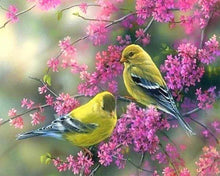 Charger l'image dans la galerie, Broderie Diamant | Broderie Diamant - Oiseaux sur Branche fleurie | animaux Broderie Animaux oiseaux | FiguredArt