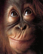 Charger l'image dans la galerie, Broderie Diamant | Broderie Diamant - Petit Singe | animaux Broderie Animaux singes | FiguredArt
