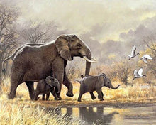 Charger l'image dans la galerie, Broderie Diamant | Broderie Diamant - Famille dEléphants dans la savane | animaux Broderie Animaux éléphants | FiguredArt