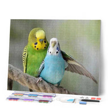 Charger l'image dans la galerie, Broderie Diamant | Broderie Diamant - Perruches | animaux Broderie Animaux | FiguredArt