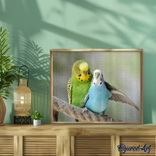 Charger l'image dans la galerie, Broderie Diamant | Broderie Diamant - Perruches | animaux Broderie Animaux | FiguredArt