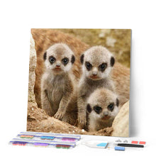 Charger l'image dans la galerie, Broderie Diamant | Broderie Diamant - Petit Singe exotique | animaux Broderie Animaux singes | FiguredArt