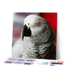 Charger l'image dans la galerie, Broderie Diamant | Broderie Diamant - Bec dOiseau | animaux Broderie Animaux oiseaux | FiguredArt