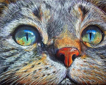 Charger l'image dans la galerie, Broderie Diamant | Broderie Diamant - Visage de Chat | animaux Broderie Animaux chats | FiguredArt