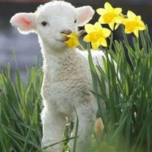 Charger l'image dans la galerie, Broderie Diamant | Broderie Diamant - Brebis et Fleurs | animaux Broderie Animaux fleurs | FiguredArt
