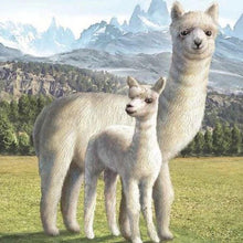 Charger l'image dans la galerie, Broderie Diamant | Broderie Diamant - Lama | animaux Broderie Animaux | FiguredArt