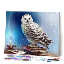 Charger l'image dans la galerie, Broderie Diamant | Broderie Diamant - Chouette et Livre | animaux Broderie Animaux chouettes et hiboux | FiguredArt