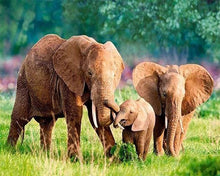 Charger l'image dans la galerie, Broderie Diamant | Broderie Diamant - Famille dEléphants | animaux Broderie Animaux éléphants | FiguredArt