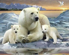 Charger l'image dans la galerie, Broderie Diamant | Broderie Diamant - Ours Polaires | animaux Broderie Animaux ours | FiguredArt