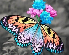 Charger l'image dans la galerie, Broderie Diamant | Broderie Diamant - Papillon qui butine | animaux Broderie Animaux papillons | FiguredArt
