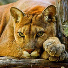 Charger l'image dans la galerie, Broderie Diamant | Broderie Diamant - Lionne | animaux Broderie Animaux lions | FiguredArt