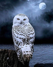 Charger l'image dans la galerie, Broderie Diamant | Broderie Diamant - Chouette Blanche | animaux Broderie Animaux chouettes et hiboux | FiguredArt