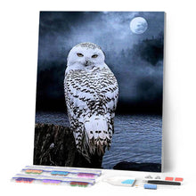Charger l'image dans la galerie, Broderie Diamant | Broderie Diamant - Chouette Blanche | animaux Broderie Animaux chouettes et hiboux | FiguredArt