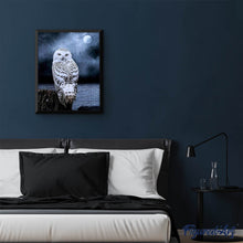 Charger l'image dans la galerie, Broderie Diamant | Broderie Diamant - Chouette Blanche | animaux Broderie Animaux chouettes et hiboux | FiguredArt