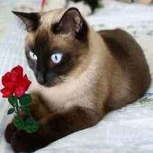 Charger l'image dans la galerie, Broderie Diamant | Broderie Diamant - Chat Romantique | animaux Broderie Animaux chats romantique | FiguredArt