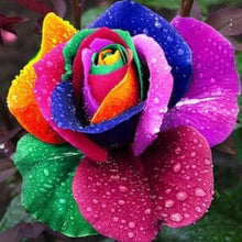 Charger l'image dans la galerie, Broderie Diamant | Broderie Diamant - Grande Pétale de Fleur | Broderie Fleurs fleurs | FiguredArt