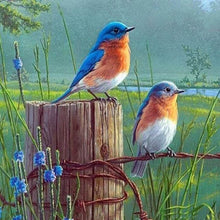 Charger l'image dans la galerie, Broderie Diamant | Broderie Diamant - Petits Oiseaux | animaux Broderie Animaux oiseaux | FiguredArt