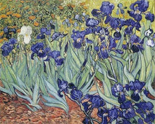 Charger l'image dans la galerie, Broderie Diamant | Broderie Diamant - Van Gogh Design Fleurs | Broderie Reproduction dOeuvres fleurs reproduction doeuvres van gogh |