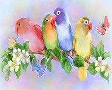 Charger l'image dans la galerie, Broderie Diamant | Broderie Diamant - Petites Perruches | animaux Broderie Animaux | FiguredArt