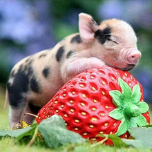 Charger l'image dans la galerie, Broderie Diamant | Broderie Diamant - Bébé Cochon et Fraise | animaux Broderie Animaux | FiguredArt