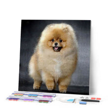 Charger l'image dans la galerie, Broderie Diamant | Broderie Diamant - Chow Chow | animaux Broderie Animaux | FiguredArt