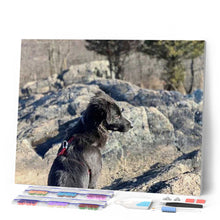 Charger l'image dans la galerie, Broderie Diamant | Broderie Diamant - Rocher et Chien | animaux Broderie Animaux chiens | FiguredArt