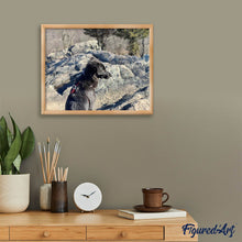 Charger l'image dans la galerie, Broderie Diamant | Broderie Diamant - Rocher et Chien | animaux Broderie Animaux chiens | FiguredArt