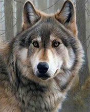 Charger l'image dans la galerie, Broderie Diamant | Broderie Diamant - Regard de Louve | animaux Broderie Animaux | FiguredArt