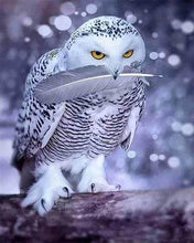 Charger l'image dans la galerie, Broderie Diamant | Broderie Diamant - Chouette et Plume | animaux Broderie Animaux chouettes et hiboux | FiguredArt