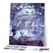 Charger l'image dans la galerie, Broderie Diamant | Broderie Diamant - Chouette et Plume | animaux Broderie Animaux chouettes et hiboux | FiguredArt