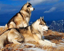 Charger l'image dans la galerie, Broderie Diamant | Broderie Diamant - Huskys | animaux Broderie Animaux | FiguredArt