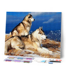 Charger l'image dans la galerie, Broderie Diamant | Broderie Diamant - Huskys | animaux Broderie Animaux | FiguredArt