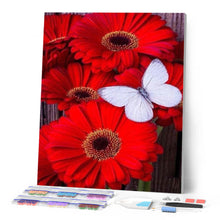 Charger l'image dans la galerie, Broderie Diamant | Broderie Diamant - Marguerites rouges et Papillon blanc | animaux Broderie Animaux Broderie Fleurs fleurs papillons |