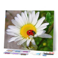 Charger l'image dans la galerie, Broderie Diamant | Broderie Diamant - Coccinelle et Marguerite | animaux Broderie Animaux Broderie Fleurs fleurs | FiguredArt