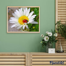 Charger l'image dans la galerie, Broderie Diamant | Broderie Diamant - Coccinelle et Marguerite | animaux Broderie Animaux Broderie Fleurs fleurs | FiguredArt