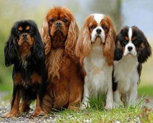 Charger l'image dans la galerie, Broderie Diamant | Broderie Diamant - Famille Chiots | animaux Broderie Animaux | FiguredArt