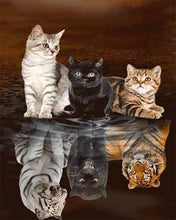 Charger l'image dans la galerie, Broderie Diamant | Broderie Diamant - Reflets Chatons | animaux Broderie Animaux chats | FiguredArt