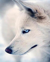 Charger l'image dans la galerie, Broderie Diamant | Broderie Diamant - Regard de Husky | animaux Broderie Animaux | FiguredArt