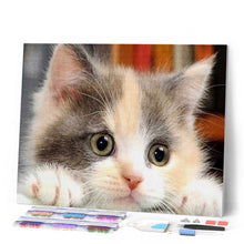 Charger l'image dans la galerie, Broderie Diamant | Broderie Diamant - Petit Chat curieux | animaux Broderie Animaux chats | FiguredArt