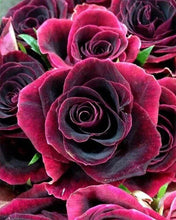 Charger l'image dans la galerie, Broderie Diamant | Broderie Diamant - Rose grenat | Broderie Fleurs fleurs | FiguredArt