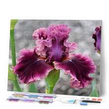 Charger l'image dans la galerie, Broderie Diamant | Broderie Diamant - Iris grenat | Broderie Fleurs fleurs | FiguredArt