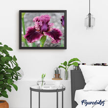Charger l'image dans la galerie, Broderie Diamant | Broderie Diamant - Iris grenat | Broderie Fleurs fleurs | FiguredArt
