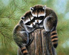 Charger l'image dans la galerie, Broderie Diamant | Broderie Diamant - Ratons Laveurs perchés | animaux Broderie Animaux ratons laveurs | FiguredArt