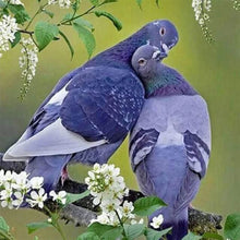 Charger l'image dans la galerie, Broderie Diamant | Broderie Diamant - Pigeons amoureux | animaux Broderie Animaux | FiguredArt