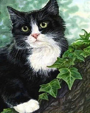 Charger l'image dans la galerie, Broderie Diamant | Broderie Diamant - Chat et Lierre | animaux Broderie Animaux chats | FiguredArt