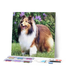Charger l'image dans la galerie, Broderie Diamant | Broderie Diamant - Colley dans le Jardin | animaux Broderie Animaux | FiguredArt